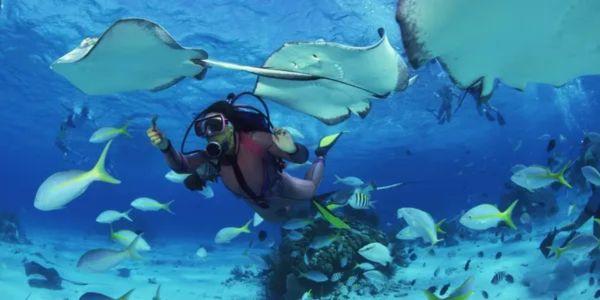 Deep Sea Scuba