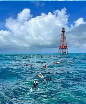 Dive Isla Bella