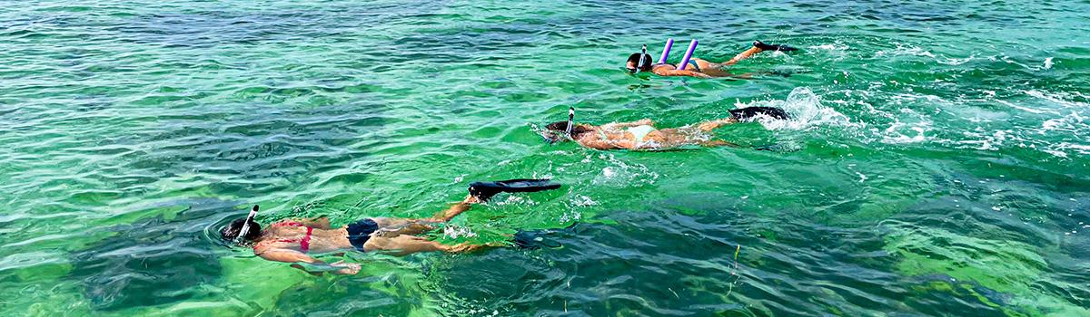 Dream Catcher Charters