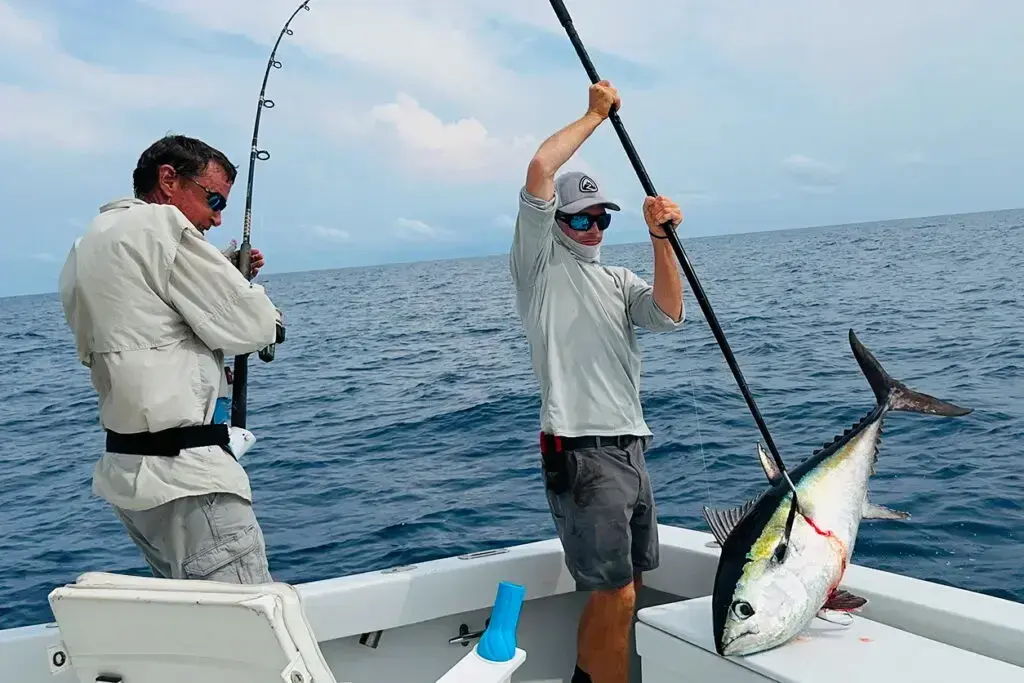 Drop Back Charters