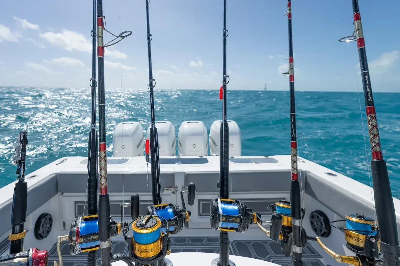 Duke Charters