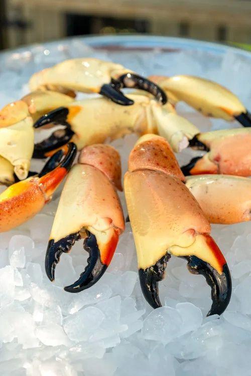 Eat Florida Seafood