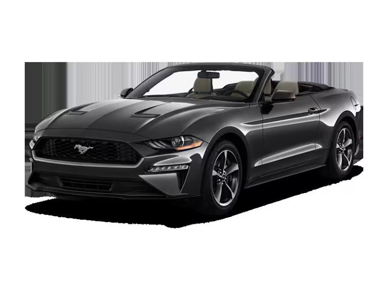 Enterprise Rental Car