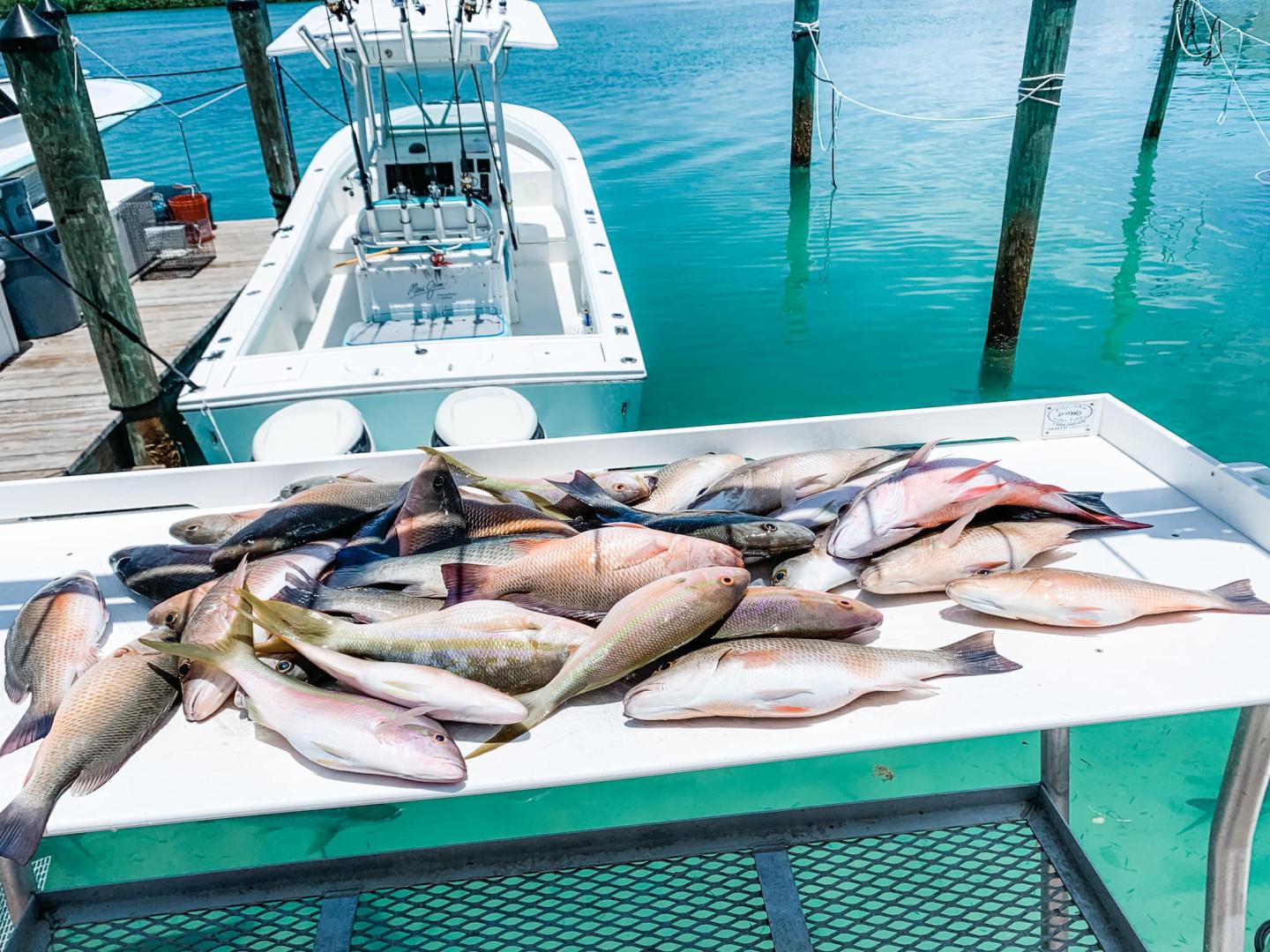 Final Final Sportfishing