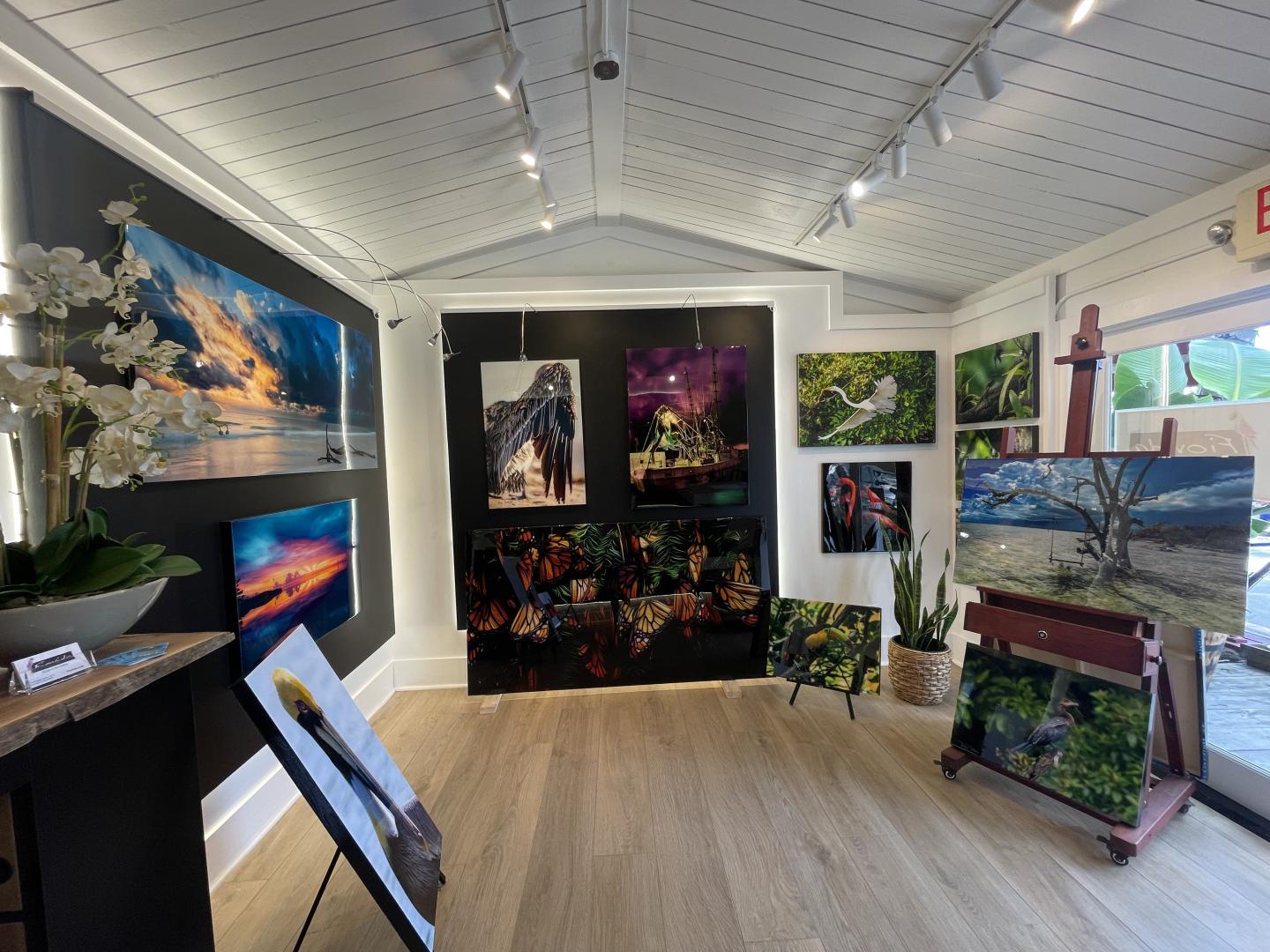 Fiovida Art Gallery