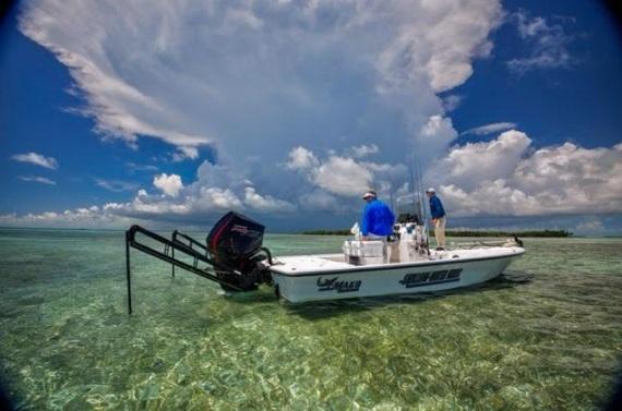 Fish Sugarloaf Key