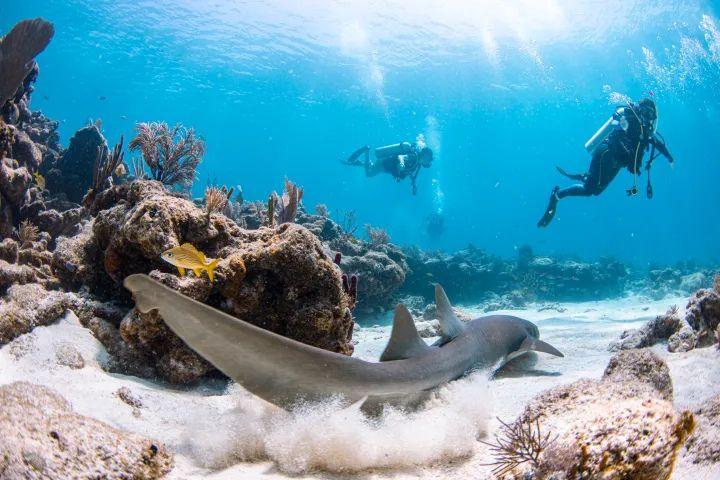 Florida Keys Dive Center