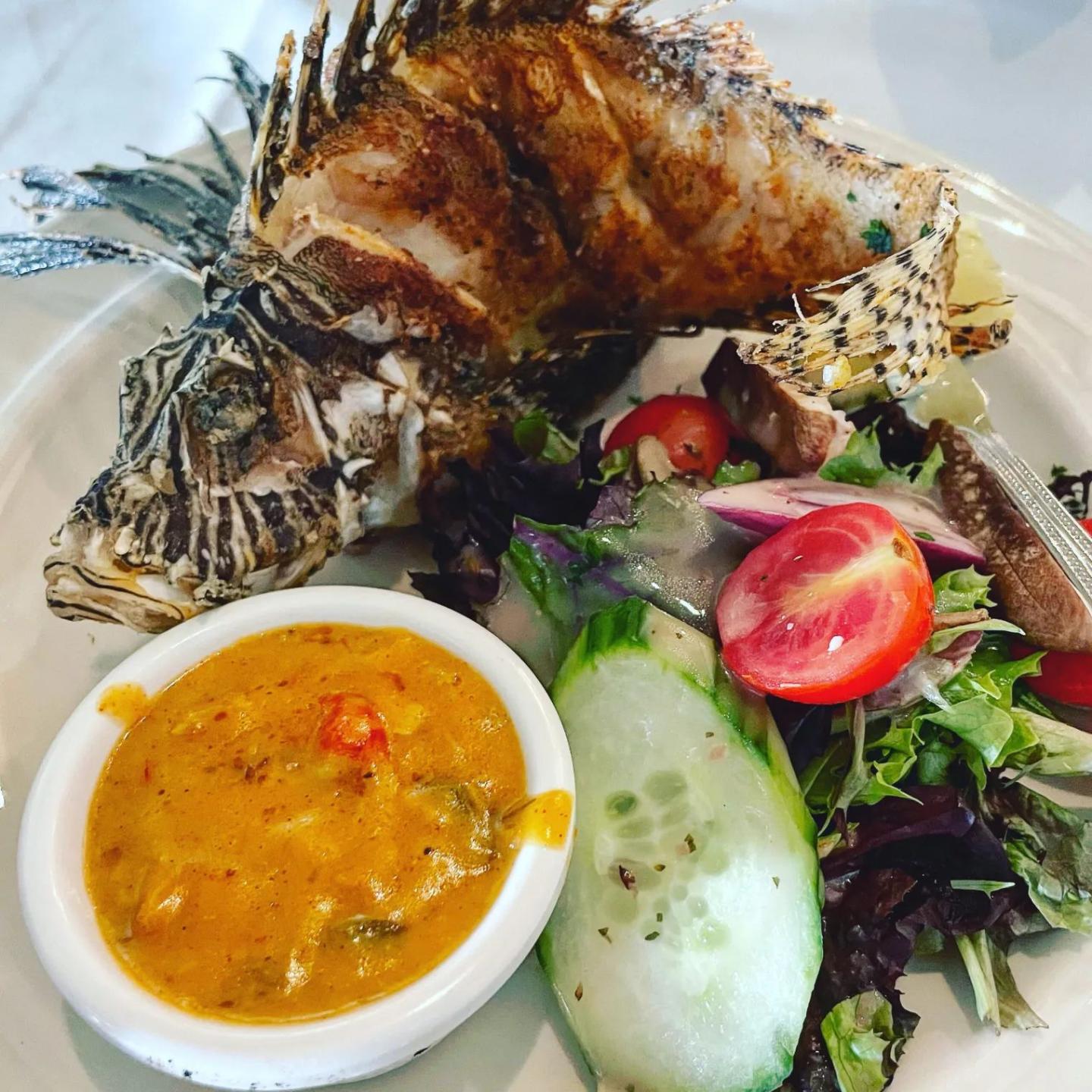 Florida Keys Food Tours