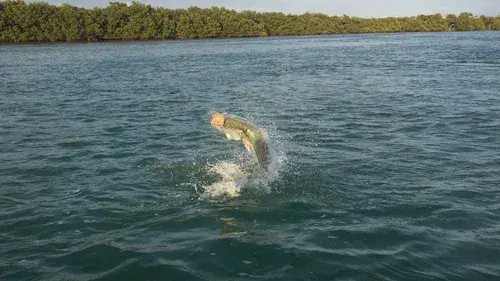 Hook 1 Charters