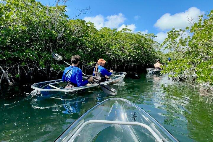 Get Up and Go Kayaking - Florida Keys