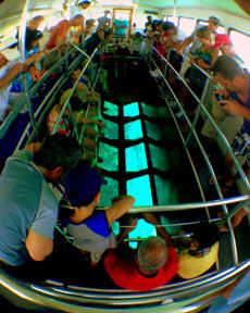 Glass Bottom Boat Tours