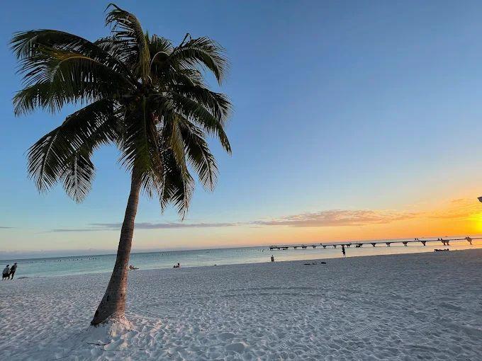 Higgs Beach & Reynolds Street Pier