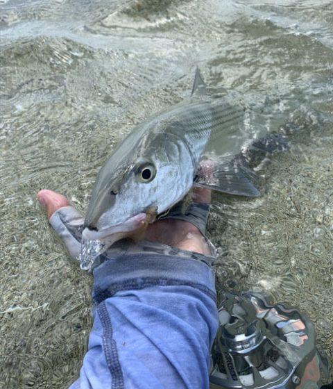 Hot Water Fishing Charters