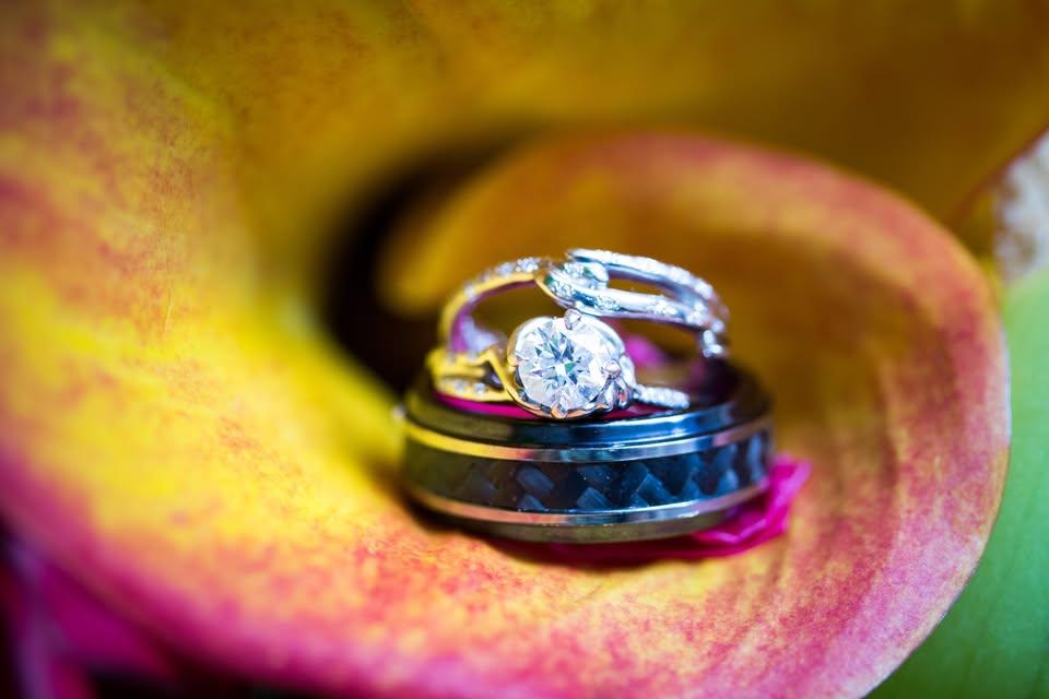 Karrie Porter Photography