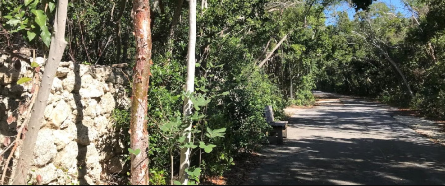 Dagny Johnson Key Largo Hammock Botanical State Park