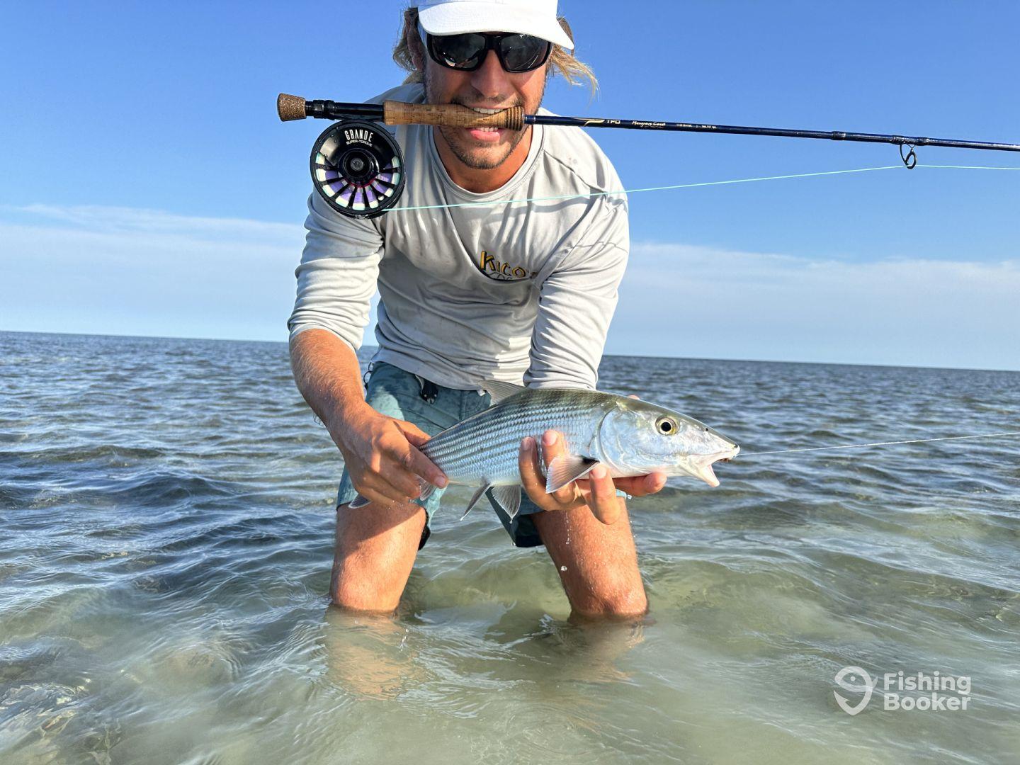Key West Charter Fishing – Shallows