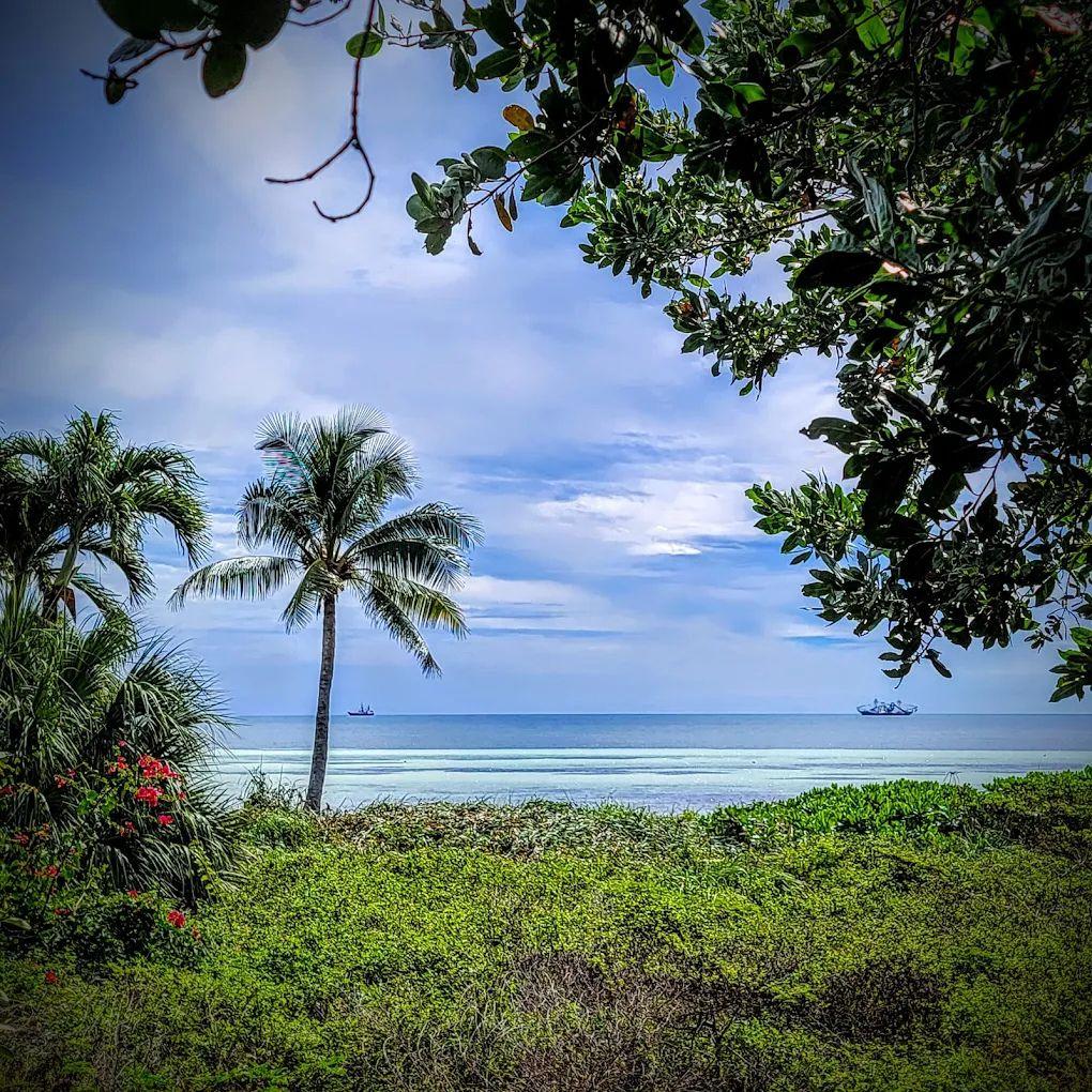 The Key West Nature Preserve