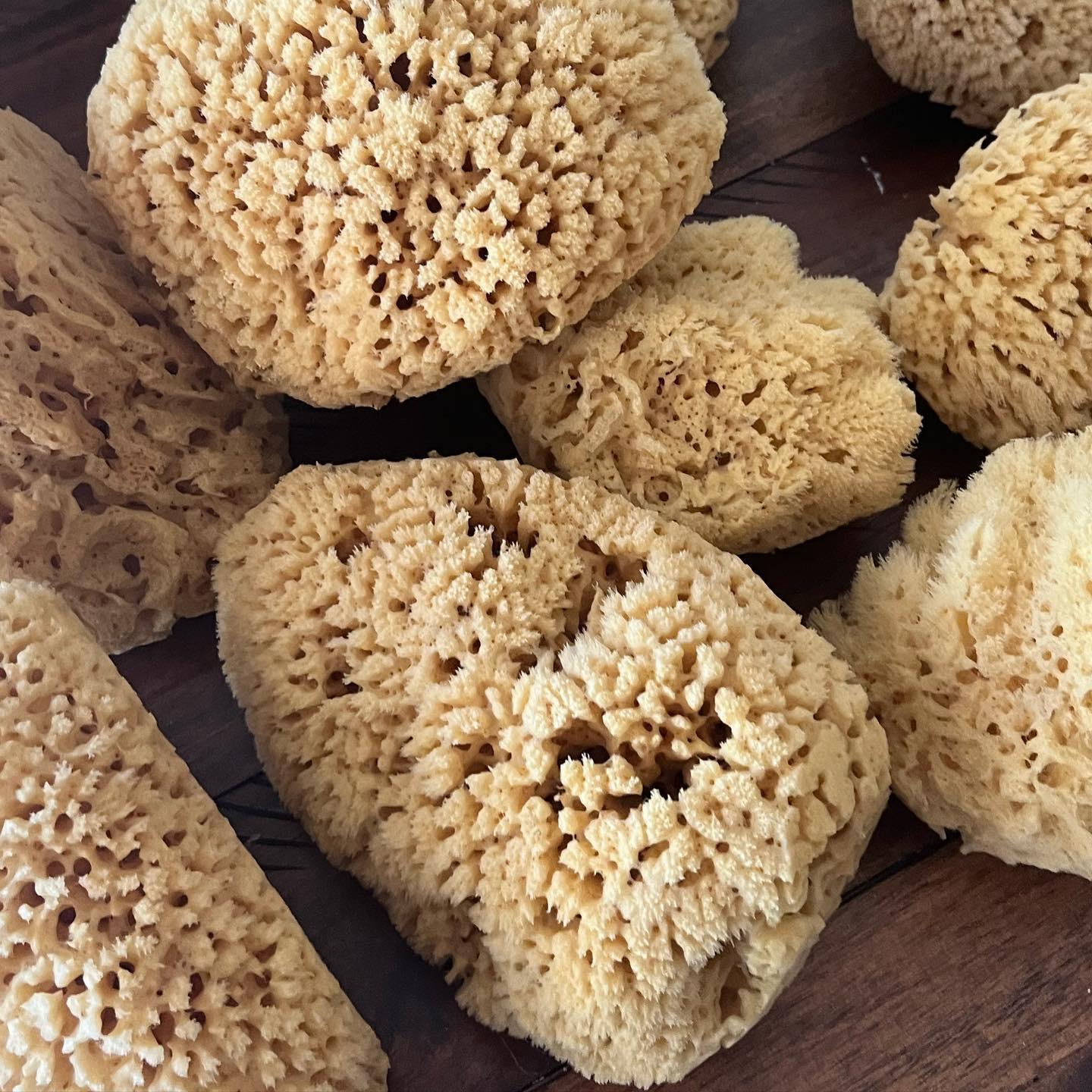 Key West Sponge Market