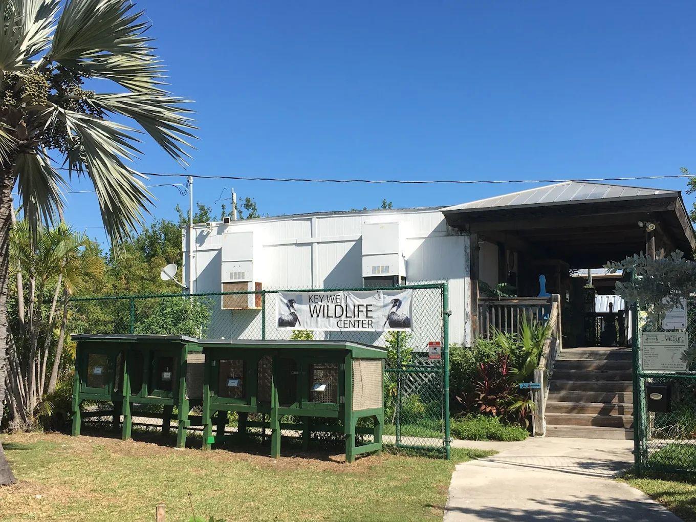 Key West Wildlife Center (24 hour rescues)