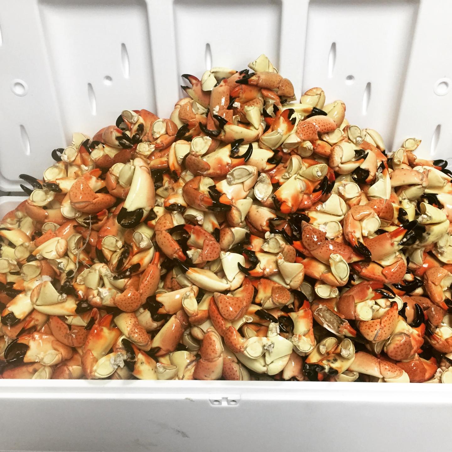 King Seafood Market & Restaurant