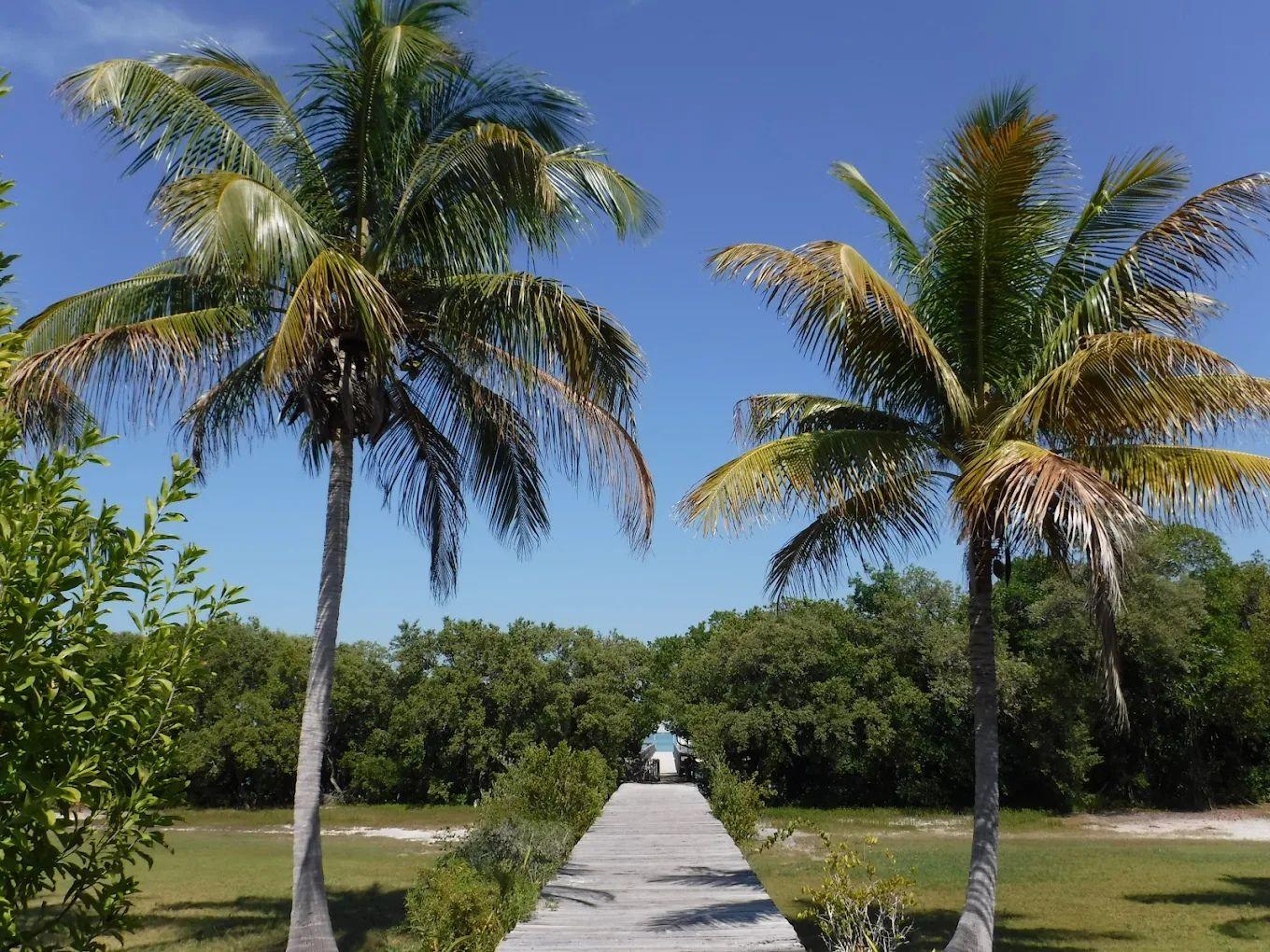Lignumvitae Key Botanical State Park