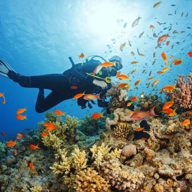 Lost Reef Adventures