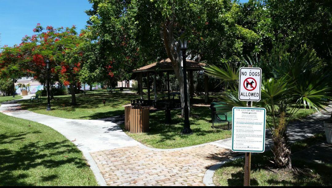 Louisa Street Park
