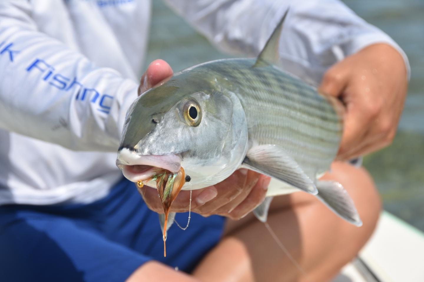 Low Key Angling
