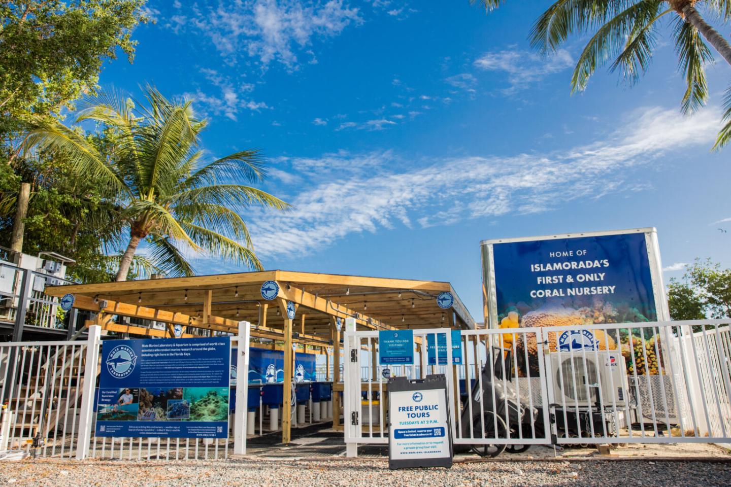 Mote Islamorada Coral Nursery
