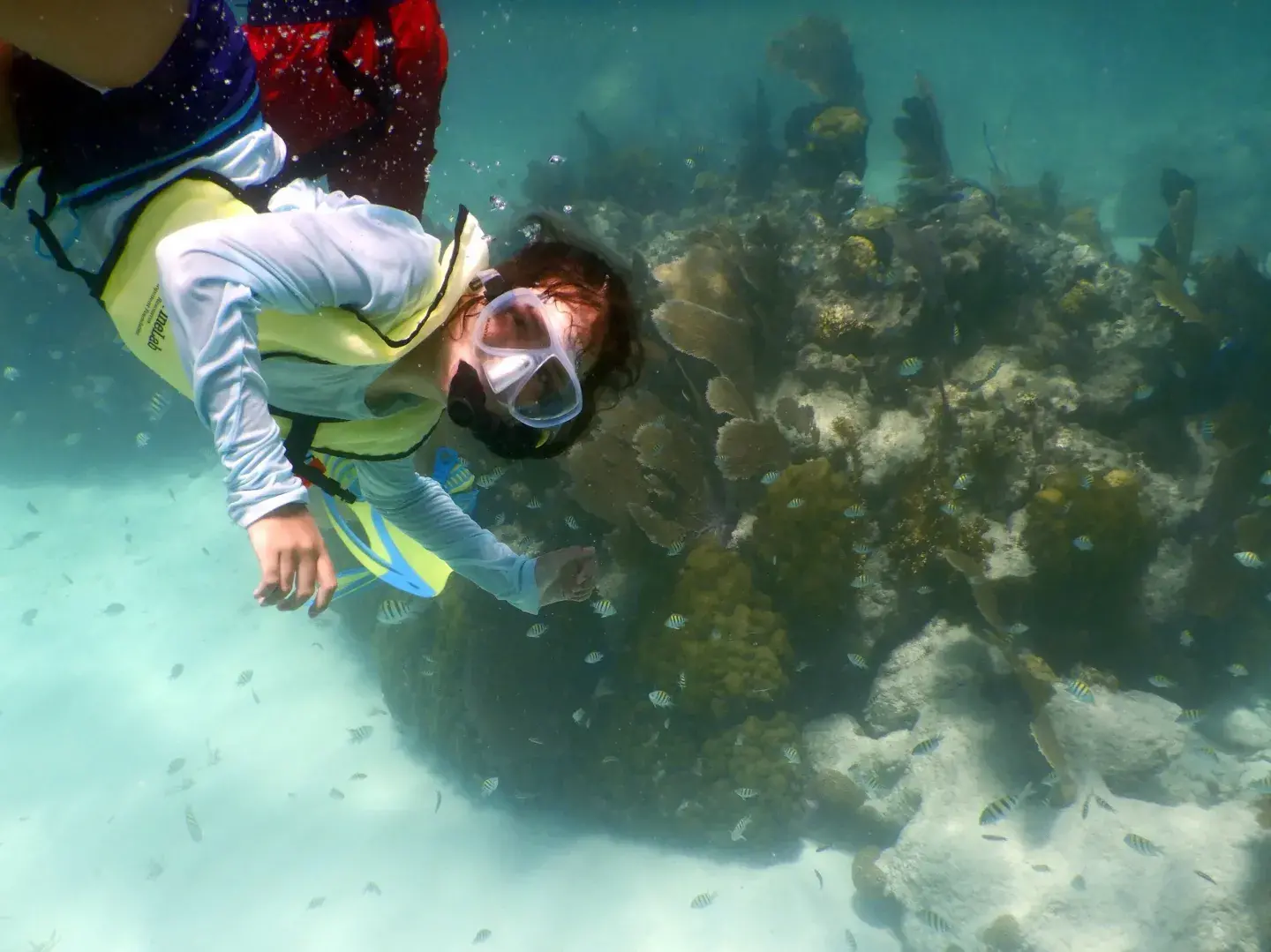 MarineLab