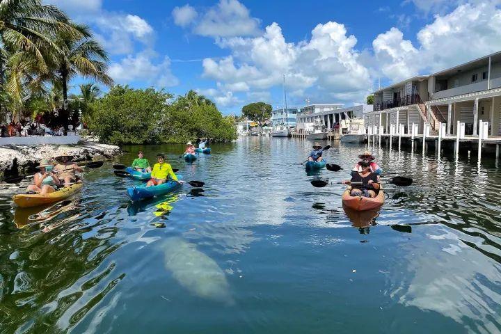 Paddle the Florida Keys