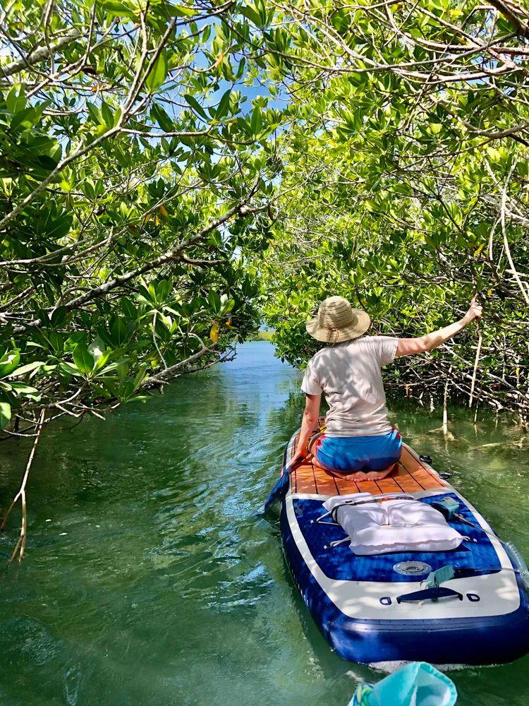 Paddlin' Madeleine - Paddleboard Tours & Rentals