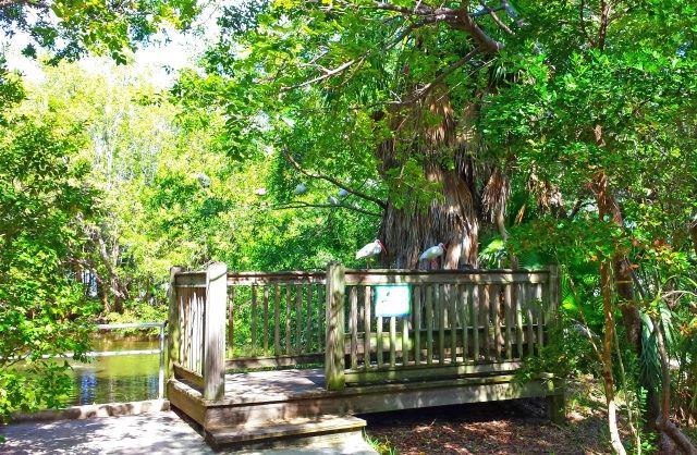 Indigenous Park