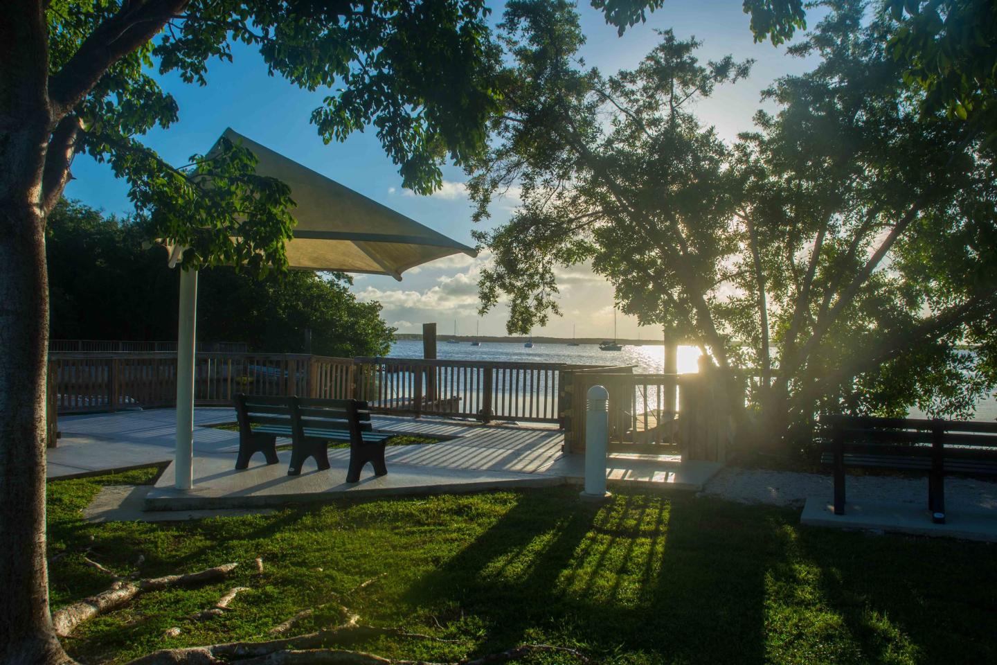 Peace Park At Nelson Government Center