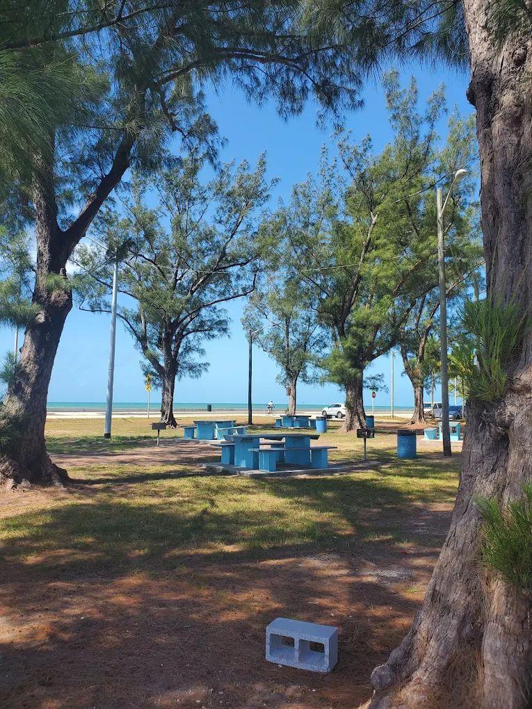Pines Park