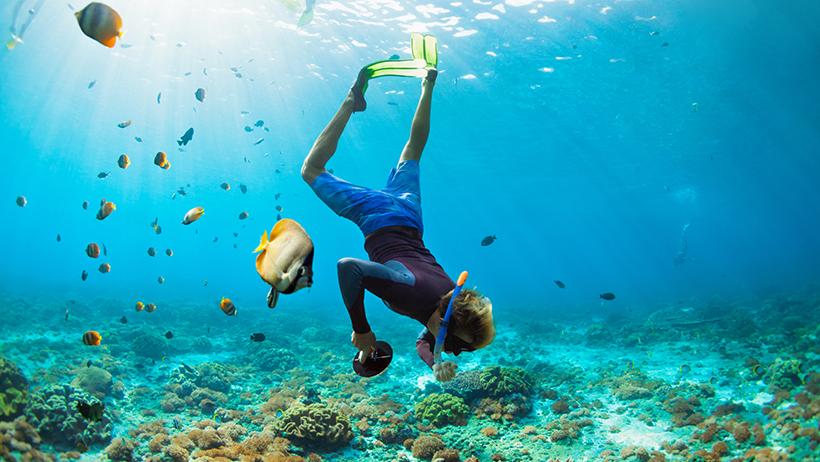 Reef Marine