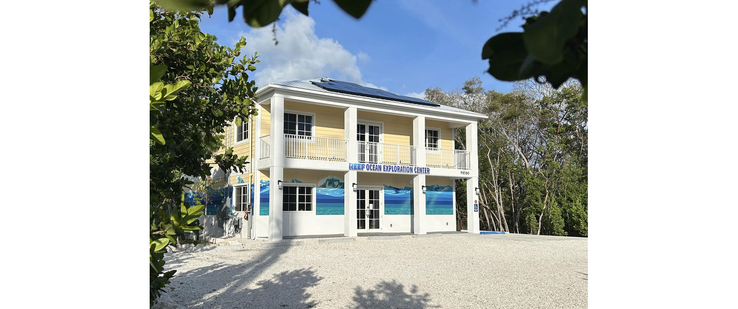 REEF Ocean Exploration Center for Marine Conservation