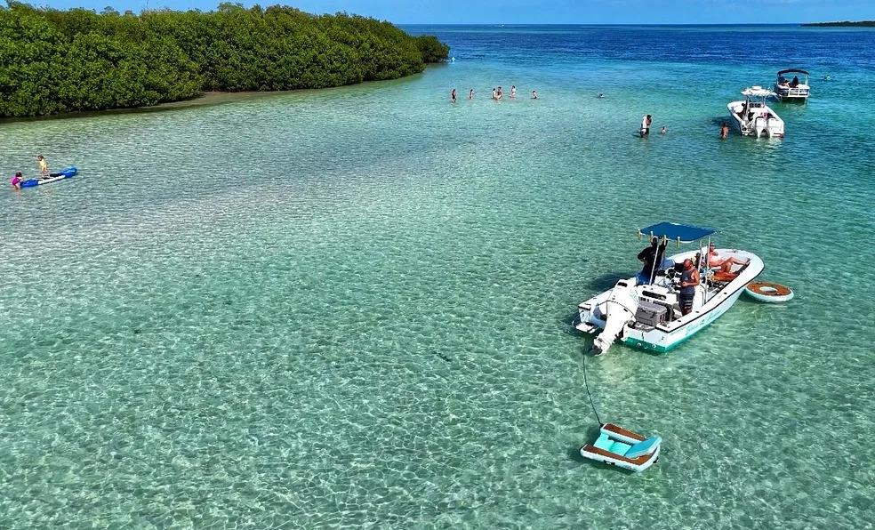 Reel Escape Sportfishing