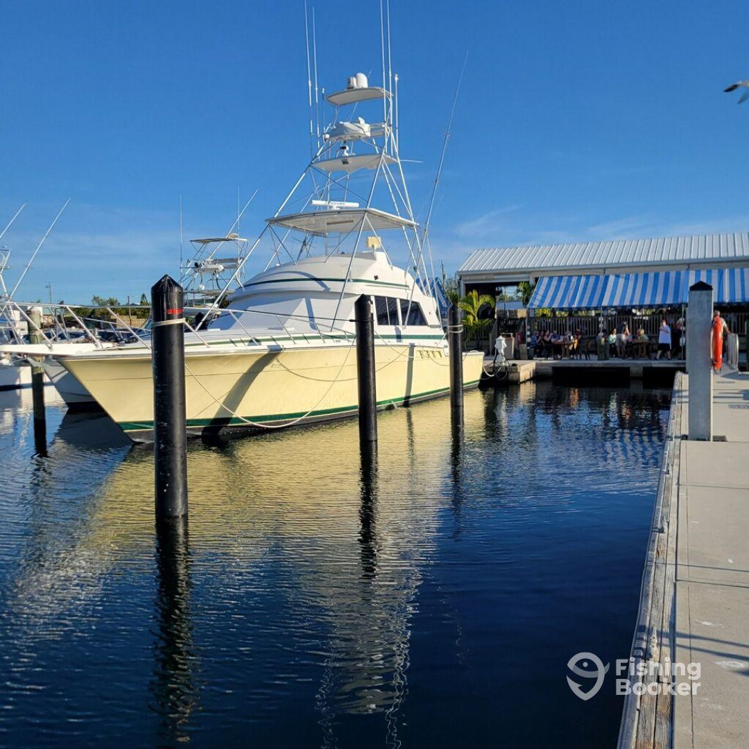 Round Up Fishing Charters