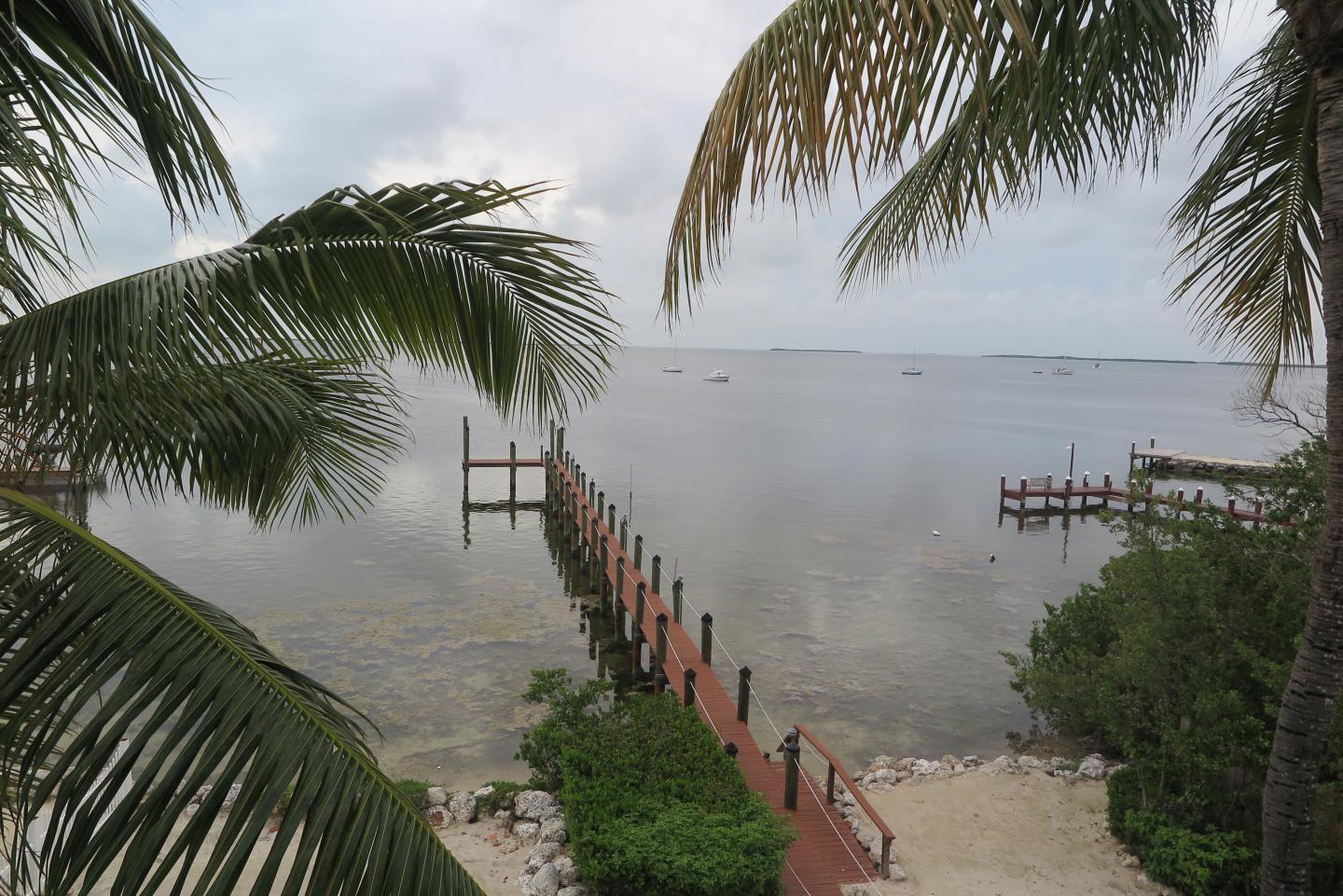Sandy Feet Key Largo