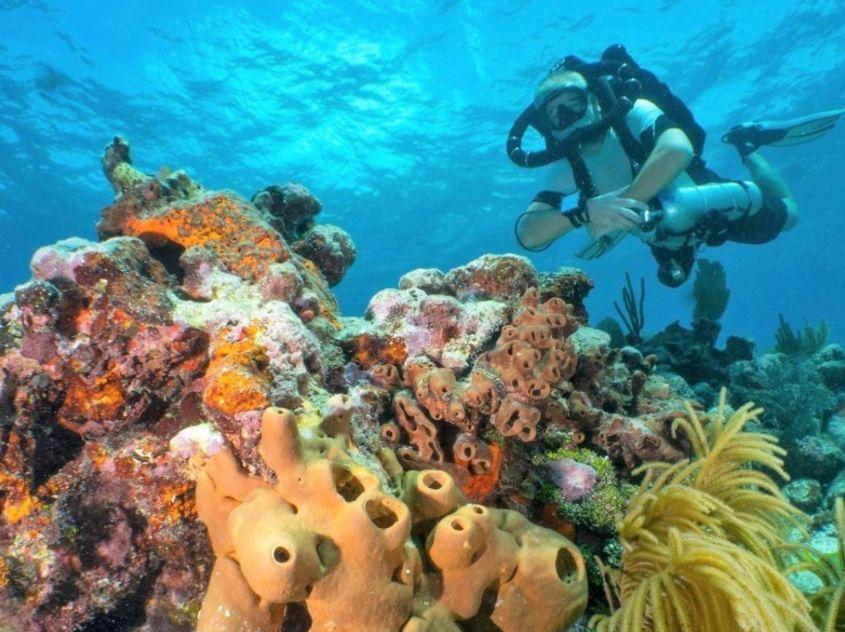 Scuba-Fun Dive Center