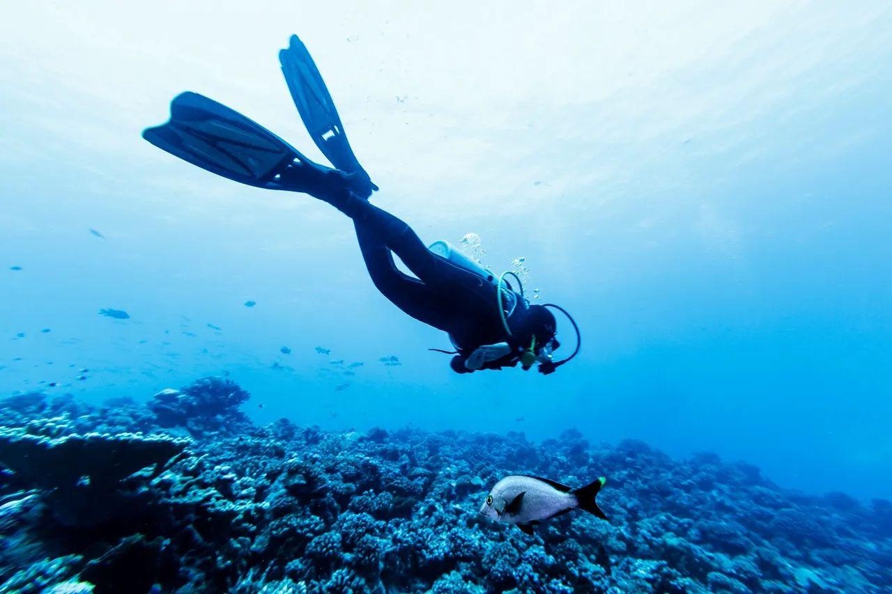 Scuba Town USA