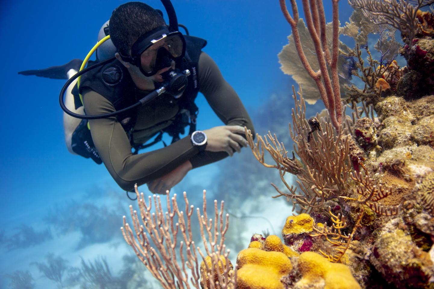 Sea Dwellers Dive Center of Key Largo