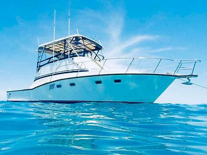 Sea Monkey Ocean Adventures