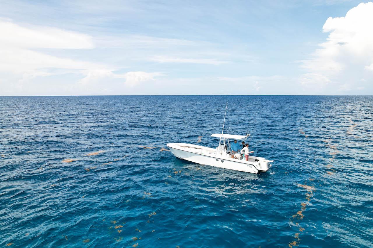 Sea Senorita Charters