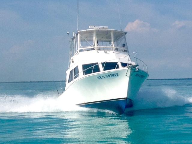 Sea Spirit Offshore Fishing