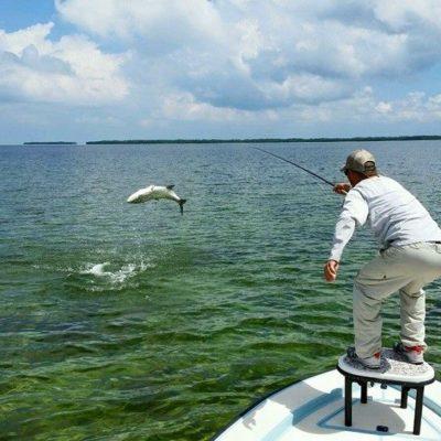 Shallow Phins Charters