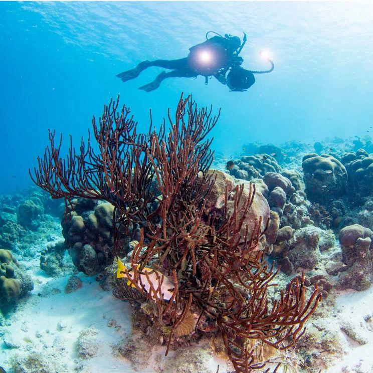Silent World Dive Center