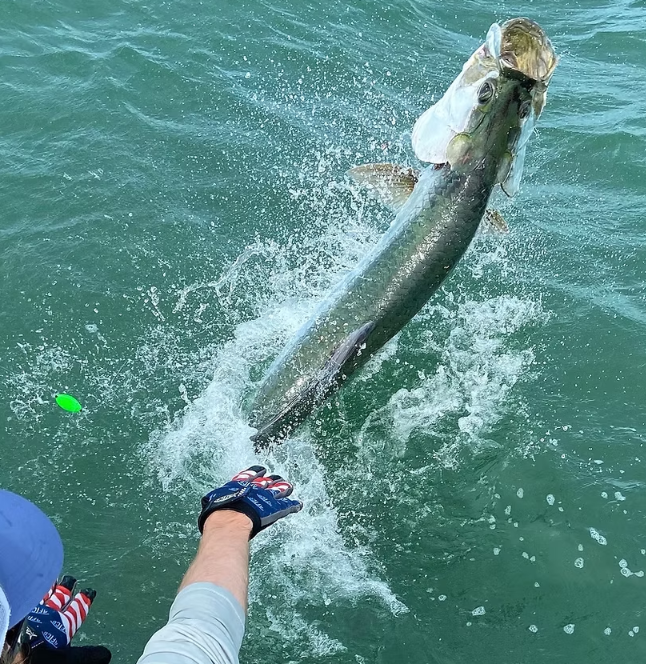 Silver Tide Charters