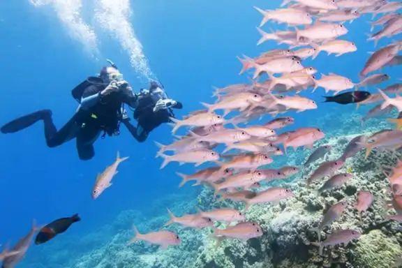 Southpoint Divers